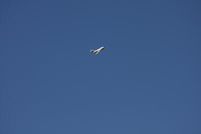 IMG 1802
